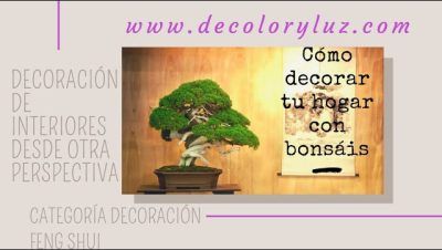 Cómo Utilizar Bonsáis para Decorar tu Hogar de Forma Única