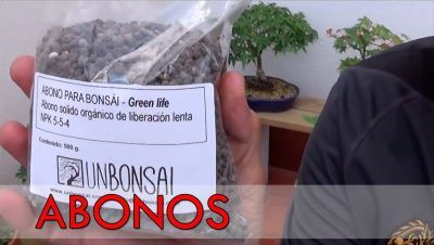 ¿Cuál es el mejor abono para los bonsáis?